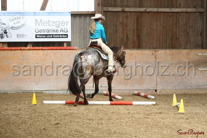 26-ApHC GT_159.jpg